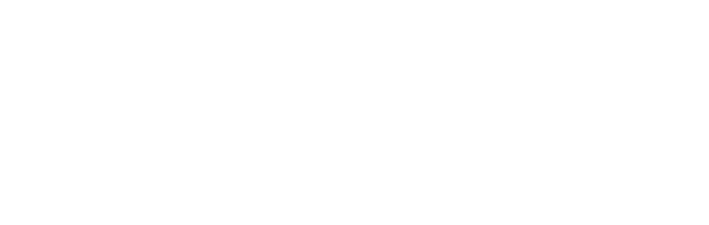 AOMAN FUTURE