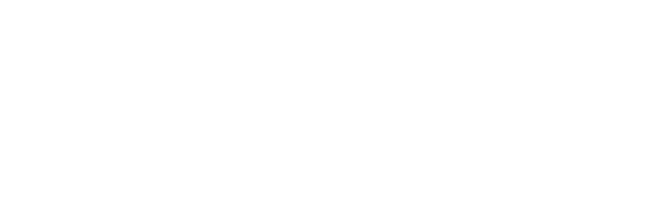 AOMAN FUTURE
